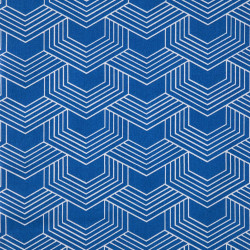 Printed Cotton ORTO Blue / White